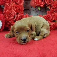 processed/bd4691bc-5f8d-46a7-8260-7a95cec7c7f4/listing/c4a12092-2666-46a8-8666-84b5e8c8ef33/820e3b6c-5e1b-4801-b553-2797d25bec17