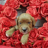 processed/bd4691bc-5f8d-46a7-8260-7a95cec7c7f4/listing/c4a12092-2666-46a8-8666-84b5e8c8ef33/e238be17-97f0-48bf-a917-259d48577198