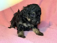 processed/bd46d076-2693-43e7-87c6-9e16afe89eeb/listing/05990a35-d5d8-4bb9-8ae4-c092f693d67d/05d116e3-9900-468b-9ab1-98630562df01