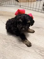 processed/bd46d076-2693-43e7-87c6-9e16afe89eeb/listing/05990a35-d5d8-4bb9-8ae4-c092f693d67d/293c0a81-d3fc-4148-a656-b5096a886590