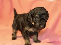 processed/bd46d076-2693-43e7-87c6-9e16afe89eeb/listing/05990a35-d5d8-4bb9-8ae4-c092f693d67d/bf57281c-137b-406b-a26c-a30a5d1d951c