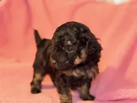 processed/bd46d076-2693-43e7-87c6-9e16afe89eeb/listing/05990a35-d5d8-4bb9-8ae4-c092f693d67d/e09948f0-0f45-42fd-833d-a6fc6185b8c4