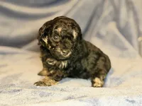 processed/bd46d076-2693-43e7-87c6-9e16afe89eeb/listing/a322b5db-0f81-44e8-b75e-7e66f1de702e/0106a50d-00db-44c1-b706-324f7996766f