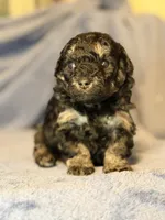 processed/bd46d076-2693-43e7-87c6-9e16afe89eeb/listing/a322b5db-0f81-44e8-b75e-7e66f1de702e/38897b32-a4ad-440c-ab69-b1b1cc1f4336