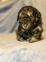 processed/bd46d076-2693-43e7-87c6-9e16afe89eeb/listing/a322b5db-0f81-44e8-b75e-7e66f1de702e/7fa5737c-1c89-4a76-9672-d69a8c8d1371