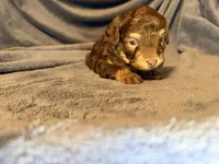 processed/bd46d076-2693-43e7-87c6-9e16afe89eeb/listing/da4e0d0b-6a48-4438-a79c-329f9b870c45/5d040c61-5877-423b-a7ba-6db8de42e8c9