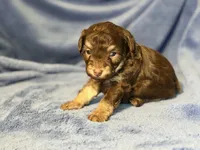 processed/bd46d076-2693-43e7-87c6-9e16afe89eeb/listing/da4e0d0b-6a48-4438-a79c-329f9b870c45/6020f89e-602f-4bcb-b947-157a64d69cd0