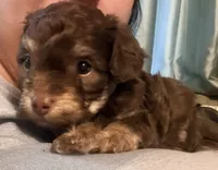 processed/bd46d076-2693-43e7-87c6-9e16afe89eeb/listing/da4e0d0b-6a48-4438-a79c-329f9b870c45/74894d31-1c22-42cc-b503-9263c632c269