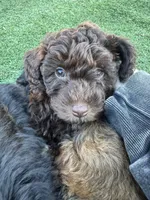 processed/bd4da2e5-ba3b-48b7-991e-b5ee9f75b5a6/listing/b720c23e-126a-4ad9-911b-d6489308567a/6f96a84a-5462-43f8-ad76-e24944ea2557