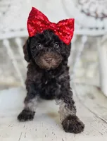 processed/bd4da2e5-ba3b-48b7-991e-b5ee9f75b5a6/listing/b720c23e-126a-4ad9-911b-d6489308567a/cfccf4a0-7c66-40b8-ab4f-1c903281f4c8