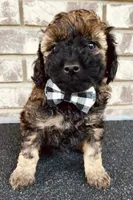 processed/bd4da2e5-ba3b-48b7-991e-b5ee9f75b5a6/listing/bf681e0d-52f7-4a70-bcd9-e9d65fd62a0d/be75cd5f-5123-4a02-8701-d205baf9dd2c