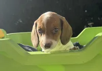 processed/bd5956e2-6c7c-4260-ae48-d68c6a682a82/listing/7f570815-fda8-4426-b985-bf5474c0b70e/6b1904a5-cbc2-4c82-905d-a297d594a5a3