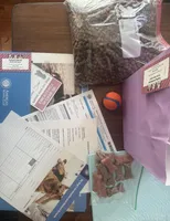 Minikin-AKC, a female Miniature Dachshund for sale in Riverside, CA – Photo 8 of 10