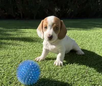 processed/bd5956e2-6c7c-4260-ae48-d68c6a682a82/listing/de723af9-a9b5-4bfe-b5fc-54ddf2344aa2/c4ac1013-57c8-4abd-ac46-80f98e5d84ac