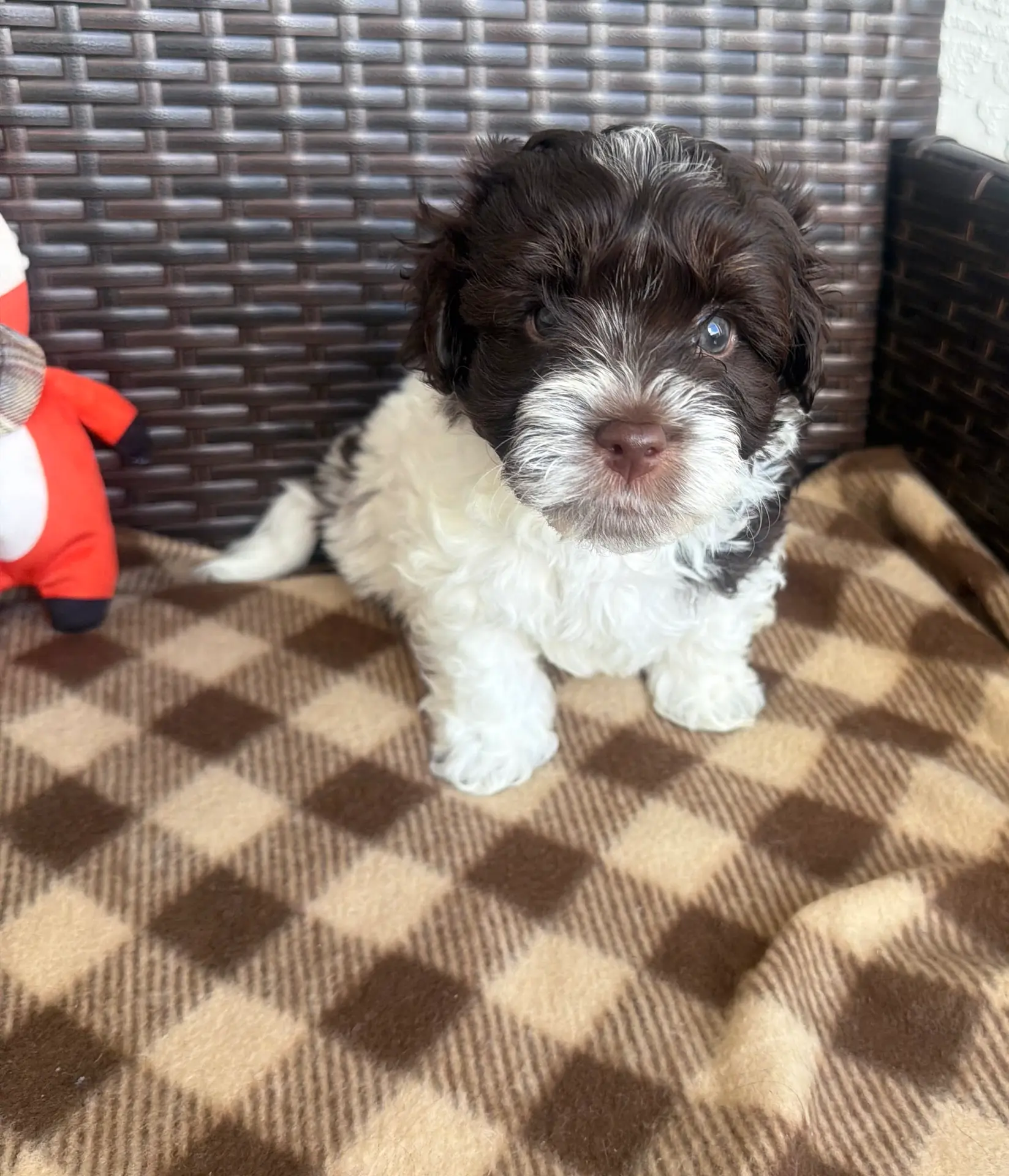 processed/bd5bb9f3-69bd-480f-a2b3-f8ac9d382aee/listing/31edf34f-f1cb-45ad-92e7-a5a41aa6352e/3118fd1a-3e15-4478-b645-3afc898a4ecd