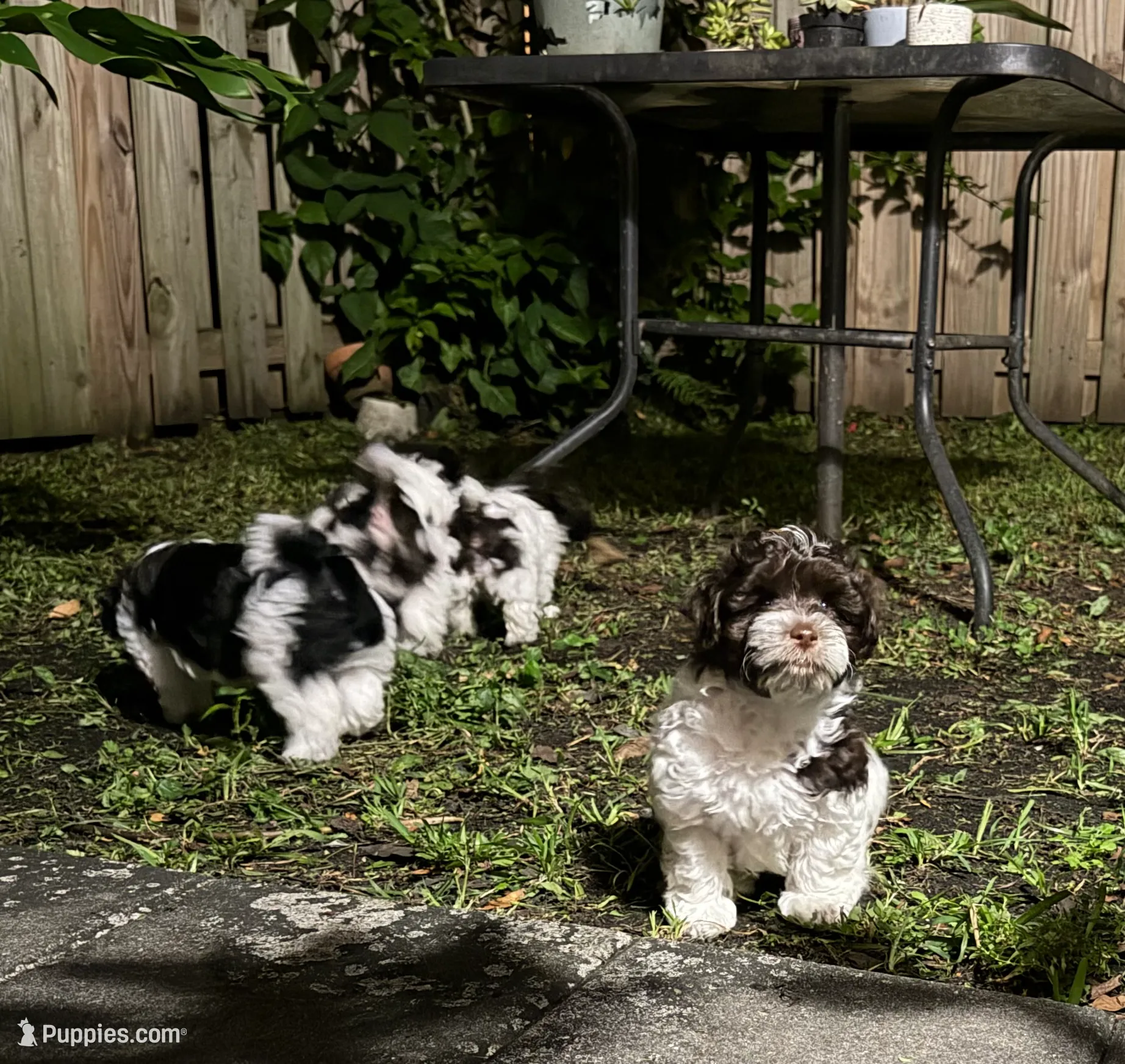 processed/bd5bb9f3-69bd-480f-a2b3-f8ac9d382aee/listing/31edf34f-f1cb-45ad-92e7-a5a41aa6352e/35c5818f-3680-4a7e-bdc7-9a1bdc128795