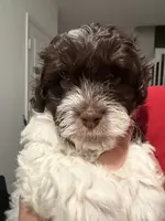 processed/bd5bb9f3-69bd-480f-a2b3-f8ac9d382aee/listing/31edf34f-f1cb-45ad-92e7-a5a41aa6352e/3fc5aa65-744f-4f75-9150-bf28dedf6451