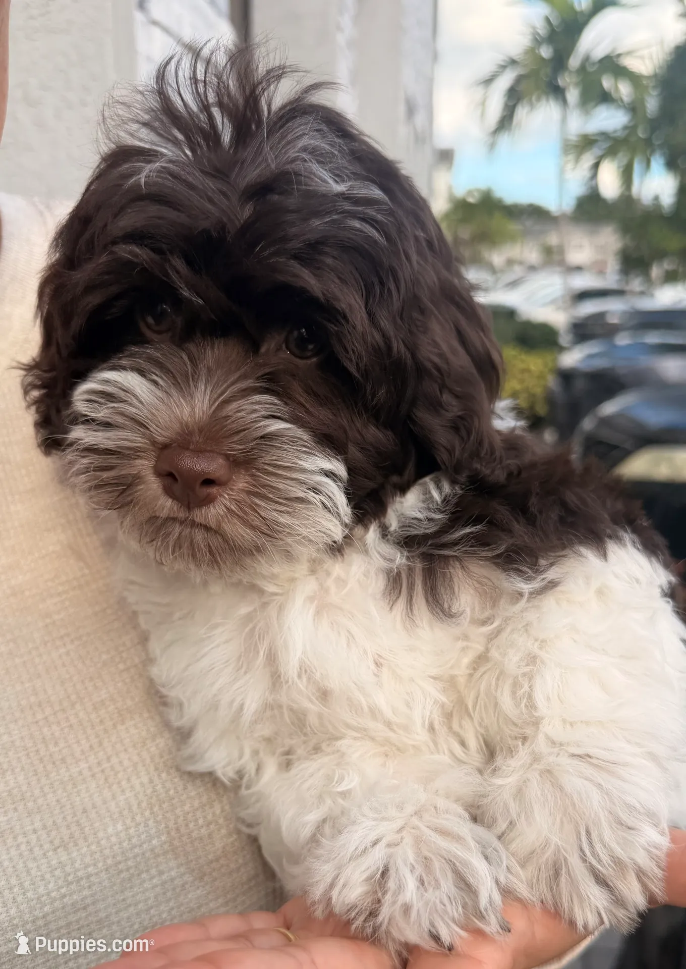 processed/bd5bb9f3-69bd-480f-a2b3-f8ac9d382aee/listing/31edf34f-f1cb-45ad-92e7-a5a41aa6352e/ca051bad-b7ae-43a4-b13d-fa2c8b7cb5a4