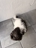 processed/bd5bb9f3-69bd-480f-a2b3-f8ac9d382aee/listing/31edf34f-f1cb-45ad-92e7-a5a41aa6352e/de6802d1-dbad-4d1e-b94b-160f806c8ea2