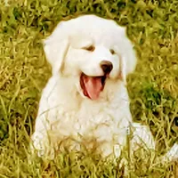 processed/bd5ee0c3-4046-4300-8cbc-b6e65440d2a2/facility/abb6fe5f-7118-41eb-b37f-e0523ded827a