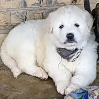 processed/bd5ee0c3-4046-4300-8cbc-b6e65440d2a2/facility/b85837c4-c1ff-40d4-b987-b06e969c0ecd