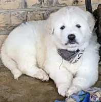 processed/bd5ee0c3-4046-4300-8cbc-b6e65440d2a2/facility/b85837c4-c1ff-40d4-b987-b06e969c0ecd