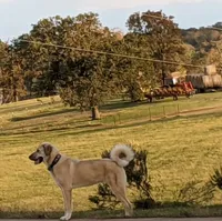 processed/bd5ee0c3-4046-4300-8cbc-b6e65440d2a2/facility/e3c52a0b-059d-4c2f-924c-458da86f94e8