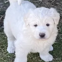 processed/bd5ee0c3-4046-4300-8cbc-b6e65440d2a2/facility/eec1eeb5-b2a0-4e18-950b-1e51def16162