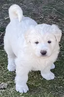 processed/bd5ee0c3-4046-4300-8cbc-b6e65440d2a2/facility/eec1eeb5-b2a0-4e18-950b-1e51def16162