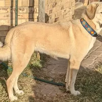 processed/bd5ee0c3-4046-4300-8cbc-b6e65440d2a2/facility/f82c1893-03ae-4083-a11b-1662b4872239