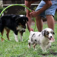 processed/bd5ff478-839e-4c9a-9a2c-485eccf53e1d/facility/0fb7372e-2c6c-488f-94f1-c1247ffaa7ea