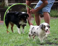 processed/bd5ff478-839e-4c9a-9a2c-485eccf53e1d/facility/0fb7372e-2c6c-488f-94f1-c1247ffaa7ea