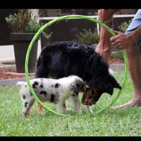 processed/bd5ff478-839e-4c9a-9a2c-485eccf53e1d/facility/2e949104-f3eb-4003-9c63-dc7af766c29f