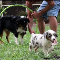 processed/bd5ff478-839e-4c9a-9a2c-485eccf53e1d/facility/495408e6-e1b3-4d86-8954-1a6690d81625