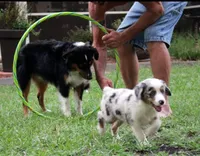 processed/bd5ff478-839e-4c9a-9a2c-485eccf53e1d/facility/495408e6-e1b3-4d86-8954-1a6690d81625