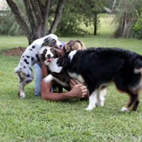 processed/bd5ff478-839e-4c9a-9a2c-485eccf53e1d/facility/6df6bac3-d3a2-4a88-81d0-963513eaadfb