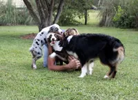 processed/bd5ff478-839e-4c9a-9a2c-485eccf53e1d/facility/6df6bac3-d3a2-4a88-81d0-963513eaadfb