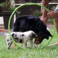 processed/bd5ff478-839e-4c9a-9a2c-485eccf53e1d/facility/75ba645b-8024-4f59-b9e1-8d9a6a120b5c