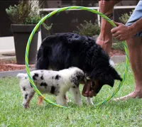 processed/bd5ff478-839e-4c9a-9a2c-485eccf53e1d/facility/75ba645b-8024-4f59-b9e1-8d9a6a120b5c