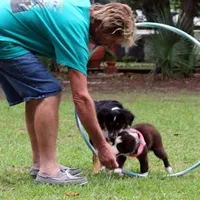 processed/bd5ff478-839e-4c9a-9a2c-485eccf53e1d/facility/9068adcc-a283-4e10-ae02-ca16cc0809d6