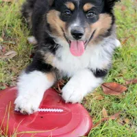 processed/bd5ff478-839e-4c9a-9a2c-485eccf53e1d/facility/bf9bda9f-b7a7-495b-885f-4ecced5c7a95