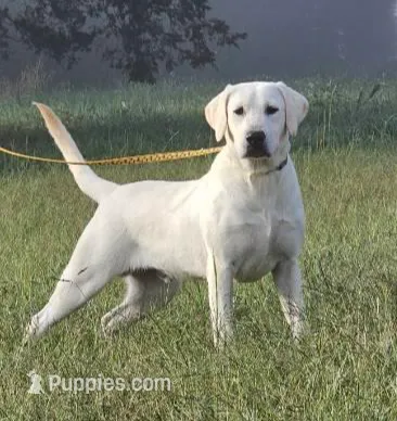 processed/bd651a3f-0cff-40a2-93f7-ac5f05cdc06c/listing/375eeb1a-bfc6-49be-9e4a-5c2f5d591ae4/7921139d-e592-44bb-b54d-c4ea6c61c71f