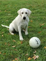 processed/bd651a3f-0cff-40a2-93f7-ac5f05cdc06c/listing/375eeb1a-bfc6-49be-9e4a-5c2f5d591ae4/e360bc89-a66e-4f8c-9c92-67f33a75b72a