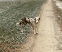 processed/bd713c33-02b5-4a5c-bbfc-f6b1c7c6123f/listing/75a93549-3a8e-462e-ba24-9755d531cd2d/3f619503-30d5-4f7a-b0d6-f5bac821d7e0