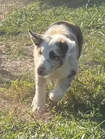 processed/bd713c33-02b5-4a5c-bbfc-f6b1c7c6123f/listing/75a93549-3a8e-462e-ba24-9755d531cd2d/4b529375-2521-42f9-bcd7-578a93ef6e32