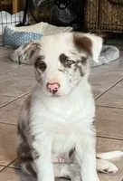 processed/bd713c33-02b5-4a5c-bbfc-f6b1c7c6123f/listing/75a93549-3a8e-462e-ba24-9755d531cd2d/845136ba-659a-4fd4-a4ac-0046c97e5732