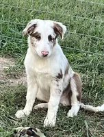 processed/bd713c33-02b5-4a5c-bbfc-f6b1c7c6123f/listing/75a93549-3a8e-462e-ba24-9755d531cd2d/dcd9c0c9-d60a-4486-ad45-036a8764cb96