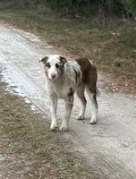 processed/bd713c33-02b5-4a5c-bbfc-f6b1c7c6123f/listing/75a93549-3a8e-462e-ba24-9755d531cd2d/f8cdcc93-fe03-47f1-b9d6-75113d137bdf