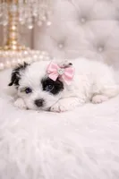 processed/bd7273c2-3831-4a6f-9abe-4b518b656412/facility/0b14e993-4787-4aa0-bb02-5928c770cf29