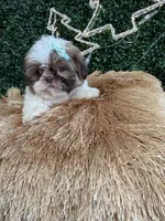 processed/bd7273c2-3831-4a6f-9abe-4b518b656412/facility/33b9c986-d9a7-47bd-a388-fc425dd1b6f8